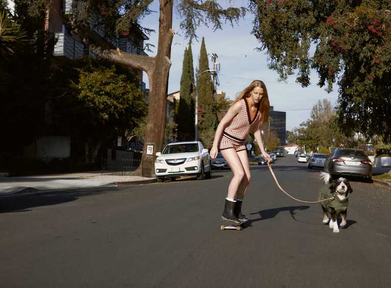 Zara has launched a new chic collection just for dogs Zara has launched a new chic collection just for dogs