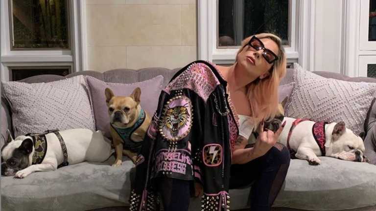 Lady Gaga dog walker says he had “very close call with death” after shooting Lady Gaga dog walker says he had “very close call with death” after shooting