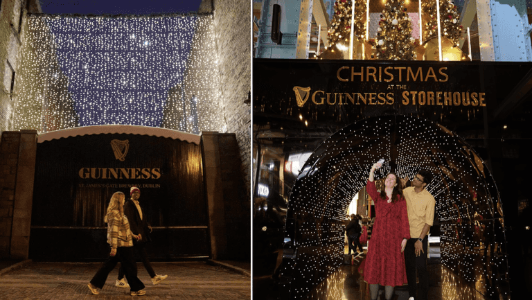 The Guinness Storehouse has one of Dublin’s most impressive trees The Guinness Storehouse has one of Dublin’s most impressive trees