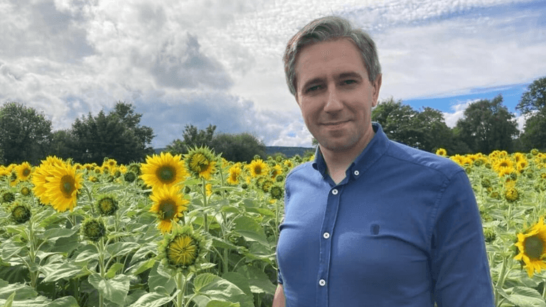 Everything you need to know about TikTok TD Simon Harris Everything you need to know about TikTok TD Simon Harris