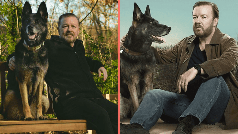 Ricky Gervais announces death of Brandy the Dog from After Life aged 13 Ricky Gervais announces death of Brandy the Dog from After Life aged 13