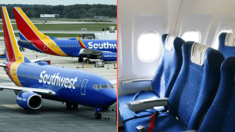 Airline to make plus-size passengers purchase two seats from next year Airline to make plus-size passengers purchase two seats from next year