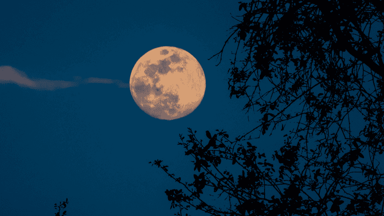 ‘Brightest and biggest’ Beaver supermoon to be visible in Irish skies tonight