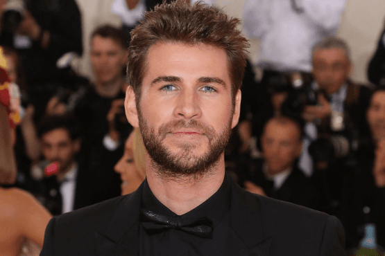 Liam Hemsworth and Gabriella Brooks are officially dating