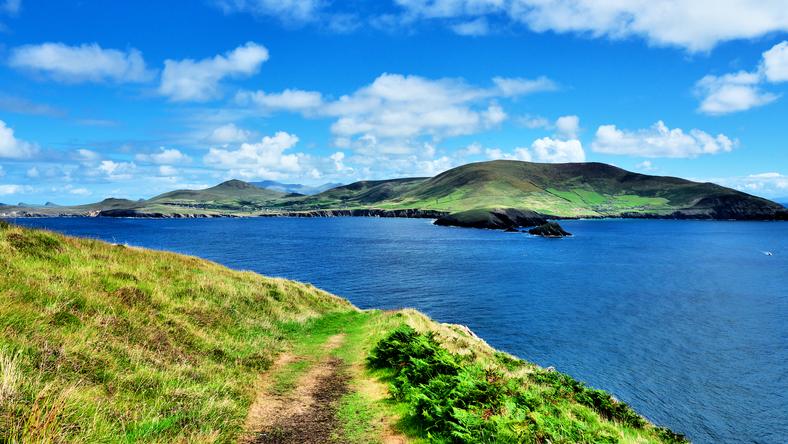 Want to live on a gorgeous Irish island with your best friend for free?