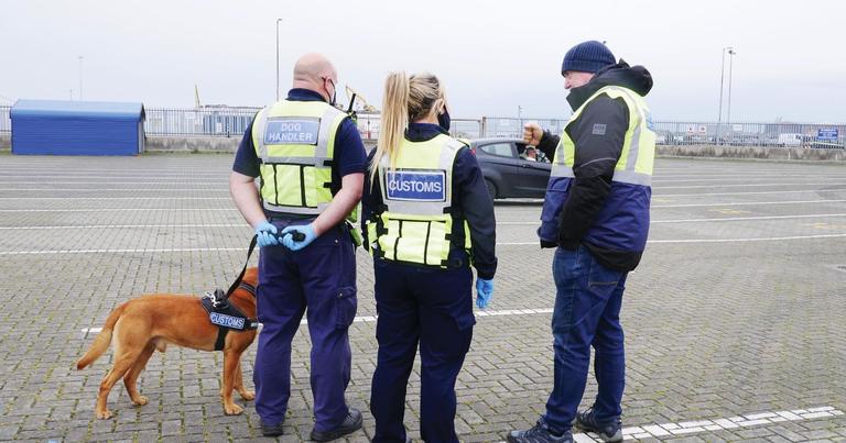 DSPCA join custom authorities to stop illegal puppy trade