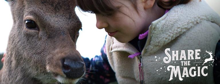 WATCH: SuperValu’s Deermuid the Deer Christmas ad is here WATCH: SuperValu’s Deermuid the Deer Christmas ad is here