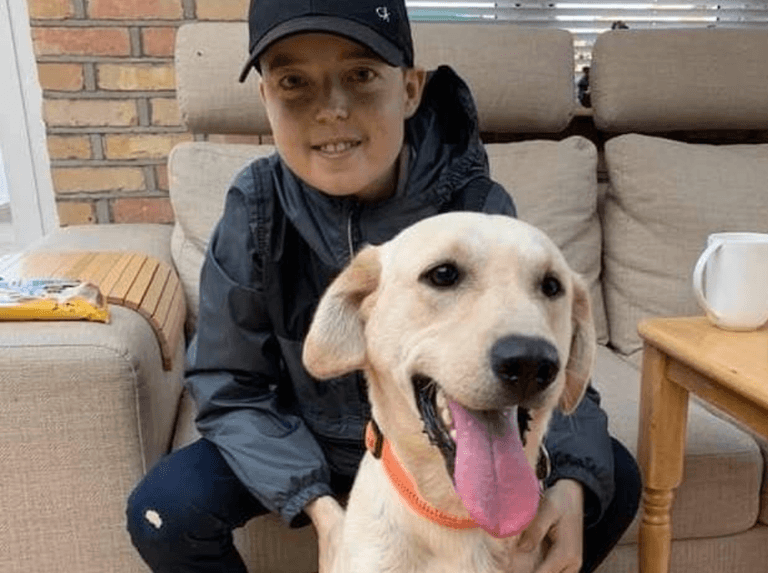 New charity initiative will bring dogs to visit sick children in hospital