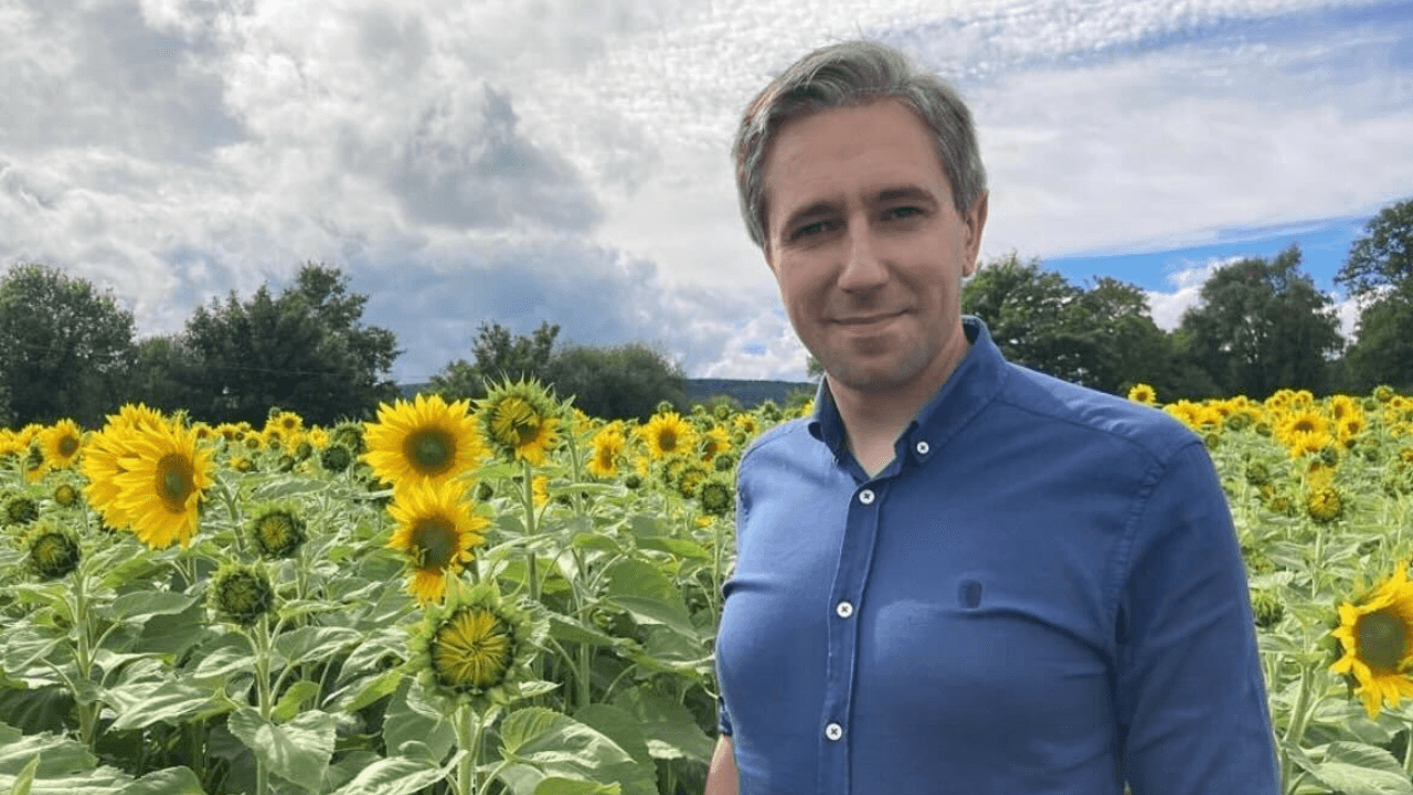 Everything you need to know about TikTok TD Simon Harris
