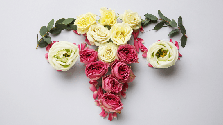 What is a decidual cast? Explaining the period phenomenon What is a decidual cast? Explaining the period phenomenon