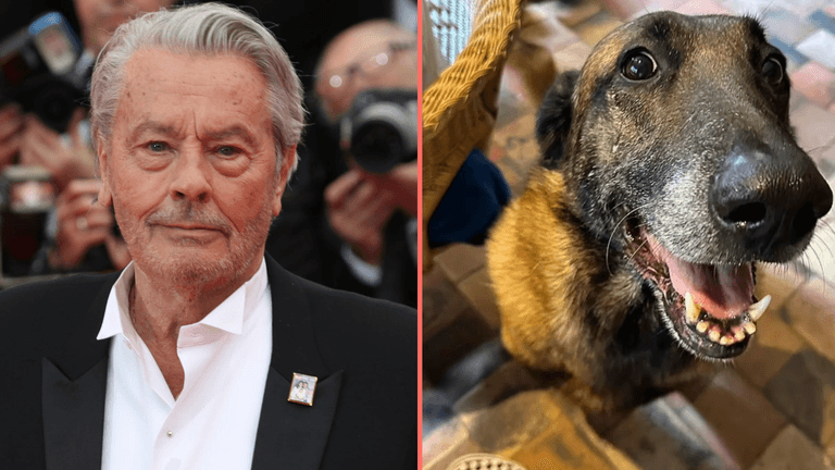 Family of late French actor refuse his final wish to have his dog euthanised