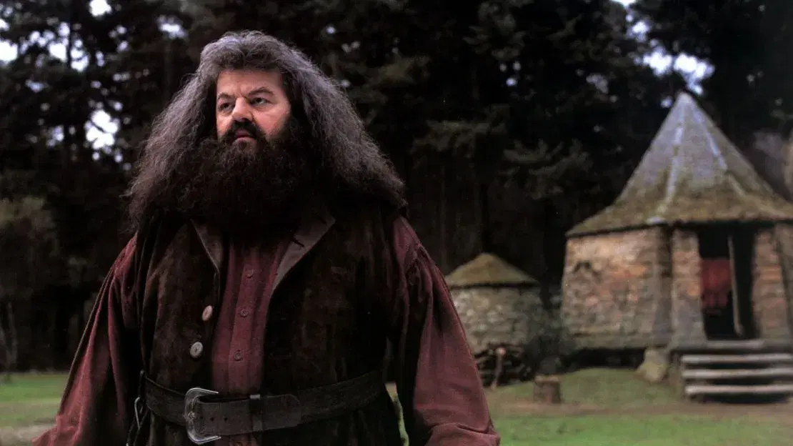 Comedy legend set to play Hagrid in Harry Potter series