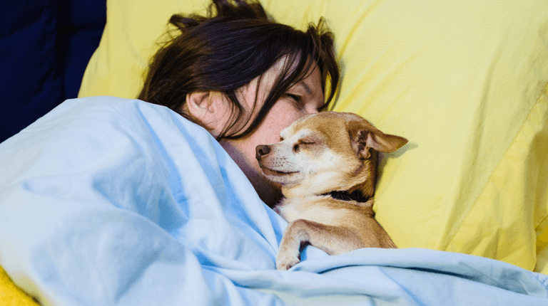 Women sleep better next to a dog than with a man, study claims Women sleep better next to a dog than with a man, study claims
