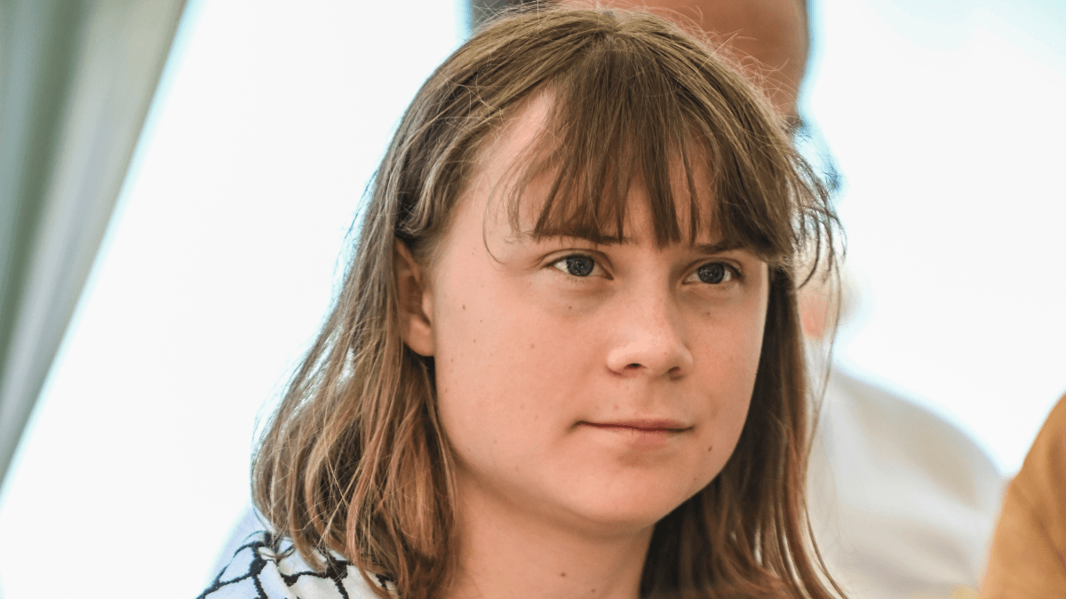 Israeli warship ‘aggressively circles’ Greta Thunberg’s aid flotilla