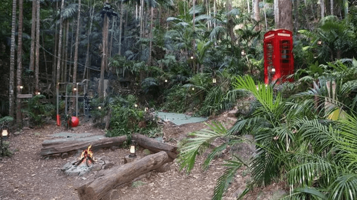 I’m a Celebrity is actually filmed in a ‘fake’ jungle with a roof over it