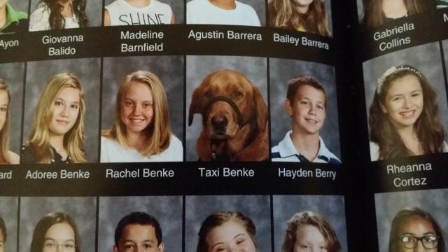 Loyal Service Dog Gets School Yearbook Photo Alongside His Human