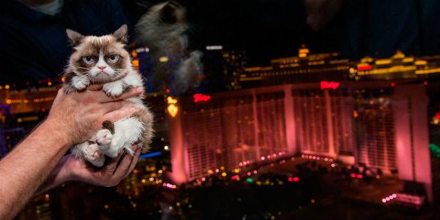 PICS: Grumpy Cat Is Ecstatic To Be In Las Vegas (This May Be An Exaggeration) PICS: Grumpy Cat Is Ecstatic To Be In Las Vegas (This May Be An Exaggeration)