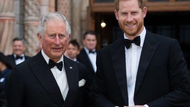 Prince Harry says Charles left him “to suffer” after Diana’s death Prince Harry says Charles left him “to suffer” after Diana’s death