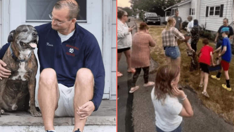 Entire town turns out for dying dog’s final walk Entire town turns out for dying dog’s final walk