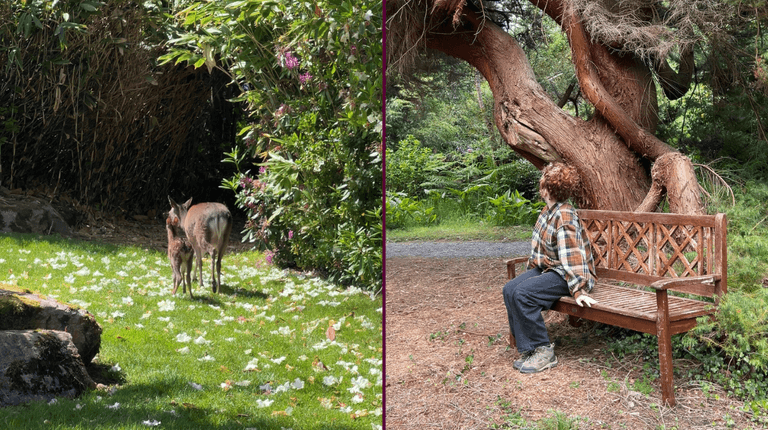 ‘I found the most magical hotel in Ireland’ ‘I found the most magical hotel in Ireland’