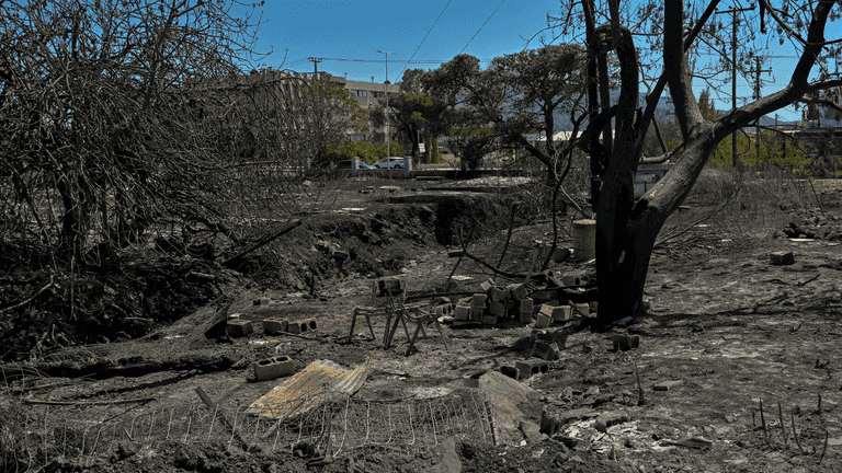 Tourists put on high alert as wildfires cause evacuations in major European capital Tourists put on high alert as wildfires cause evacuations in major European capital