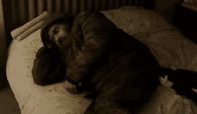 Garda urge public to stop pranking people with AI home intruder pictures Garda urge public to stop pranking people with AI home intruder pictures