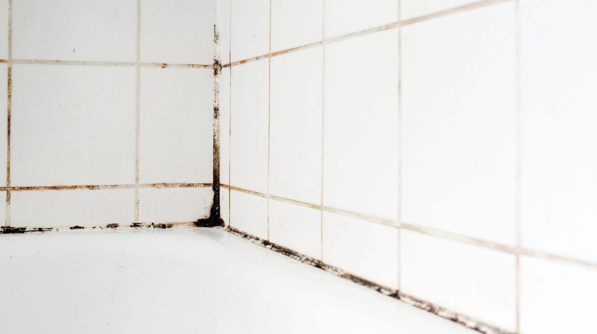 ‘Easy to use’ gadget clears stubborn mould from bathrooms – and it’s just €11