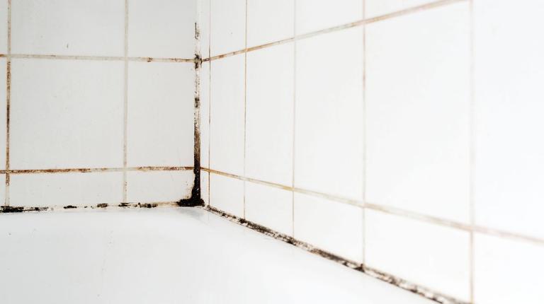 ‘Easy to use’ gadget clears stubborn mould from bathrooms – and it’s just €11 ‘Easy to use’ gadget clears stubborn mould from bathrooms – and it’s just €11