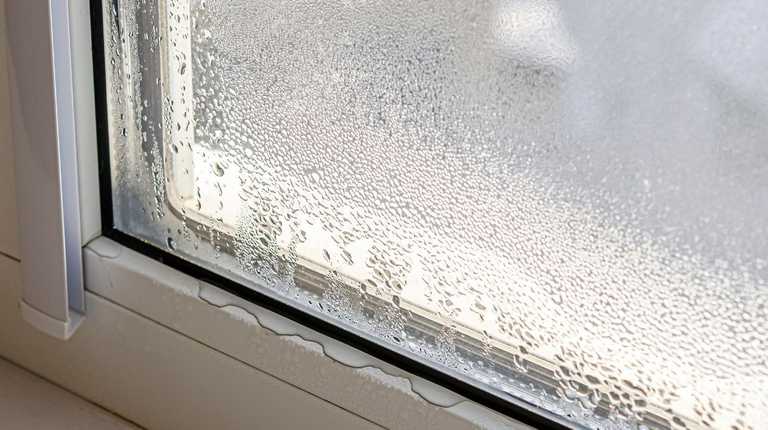 Shoppers praise gadget that ‘packs a punch’ and clears condensation in seconds Shoppers praise gadget that ‘packs a punch’ and clears condensation in seconds